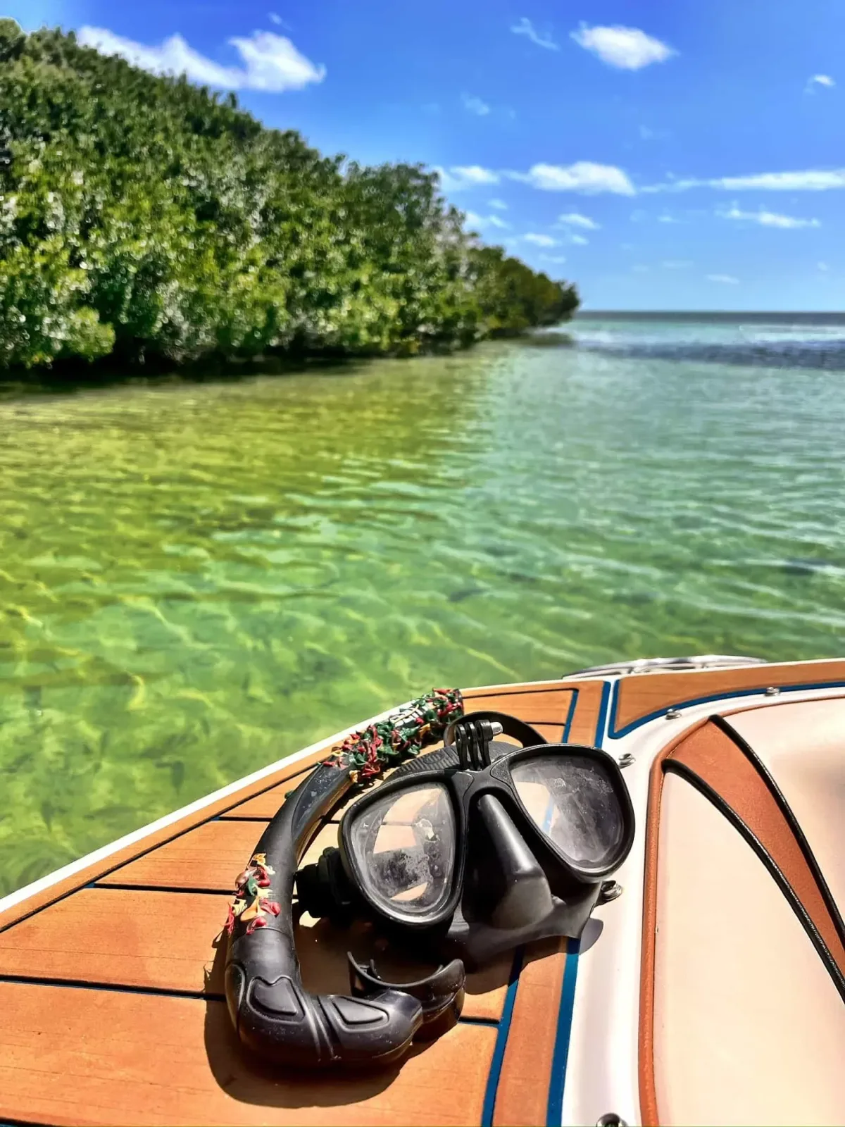 Boat tour and Snorkeling Miami (½ day)