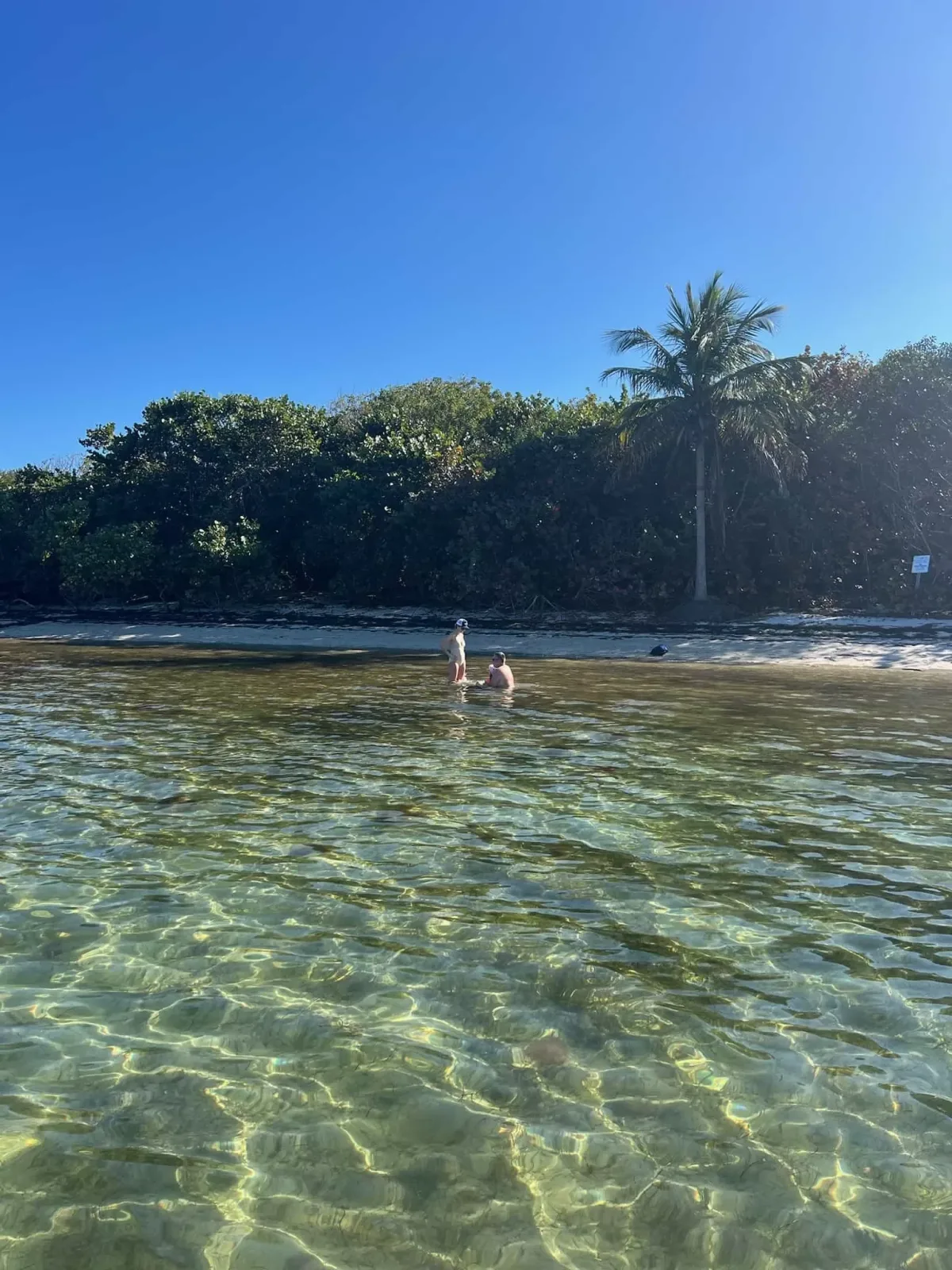 Raccoon Island, Millionaire Row (2-4 hours)