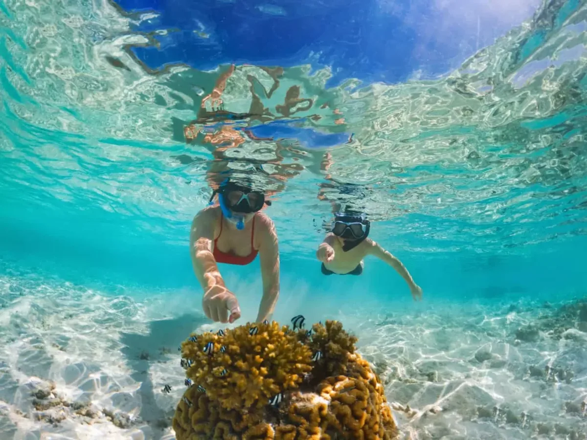 Snorkeling full day