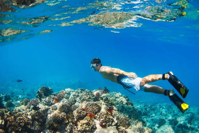 Snorkeling full day - Image 7