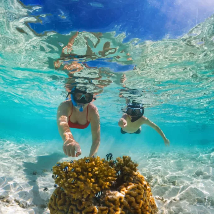 Snorkeling full day