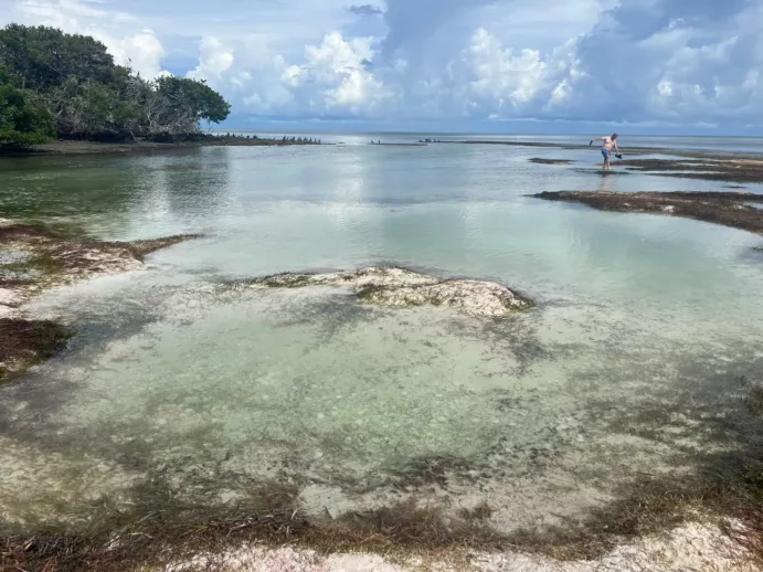 Key Biscayne, Stiltsville, Soldier Key (½ Day) - Image 11