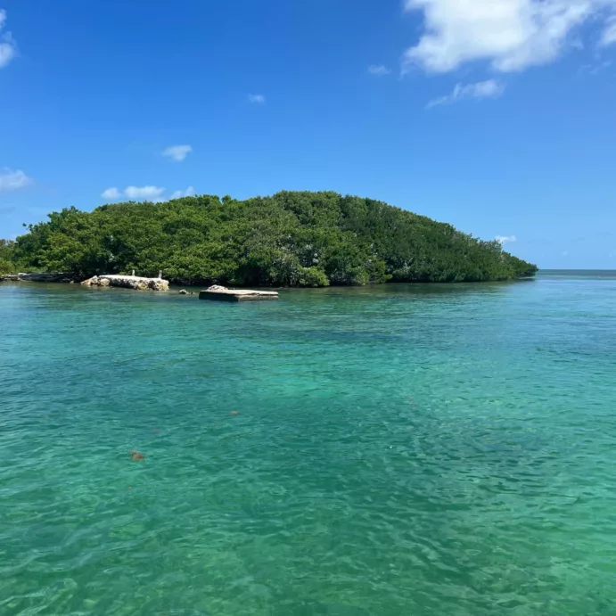 Key Biscayne, Stiltsville, Soldier Key (½ Day)