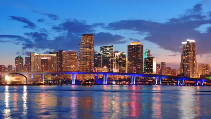 Celebrity Homes, Miami Skyline (3 hours) - Image 3
