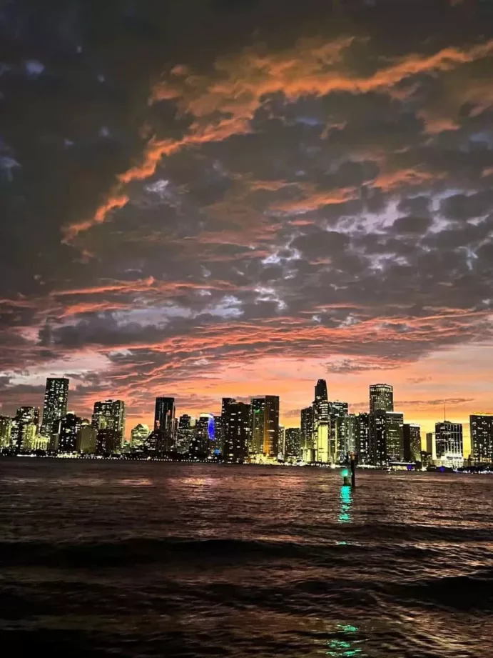 Celebrity Homes, Miami Skyline (3 hours) - Image 16