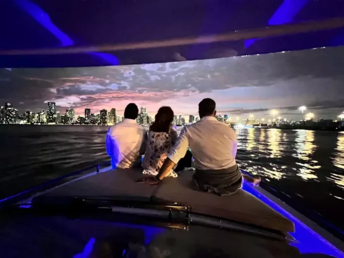 Celebrity Homes, Miami Skyline (3 hours) - Image 17
