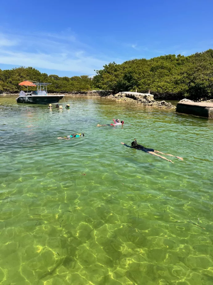 Key Biscayne, Stiltsville, Soldier Key (½ Day) - Image 3