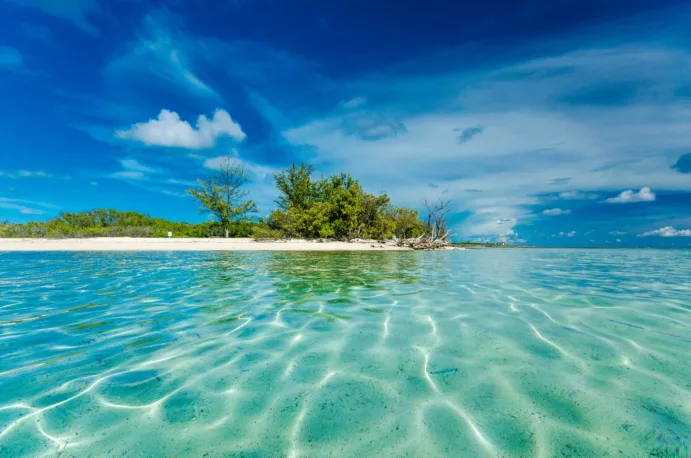 Bimini, Bahamas (Same Day trip – Sunrise to Sunset) - Image 2