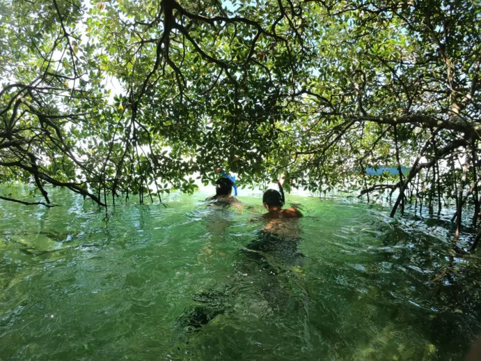 Boat tour and Snorkeling Miami (½ day) - Image 6