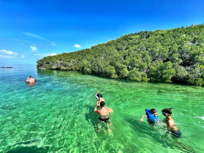 Boat tour and Snorkeling Miami (½ day) - Image 7