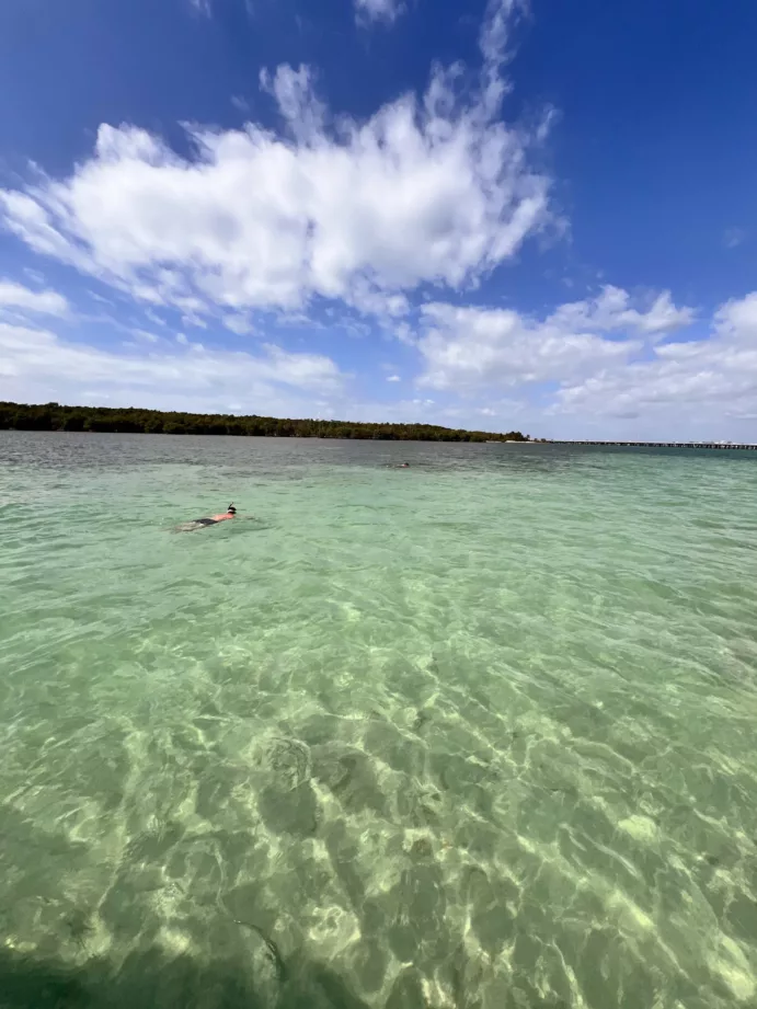 Florida Keys, Boca Chita, Eliott Key Sandbar (full day) - Image 10
