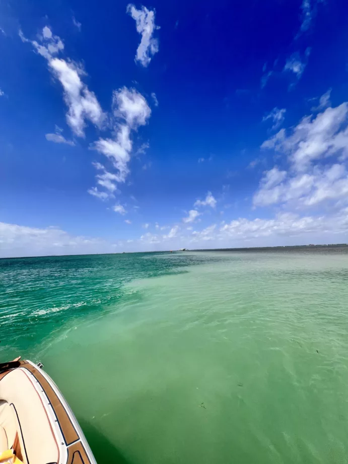 Florida Keys, Boca Chita, Eliott Key Sandbar (full day) - Image 11