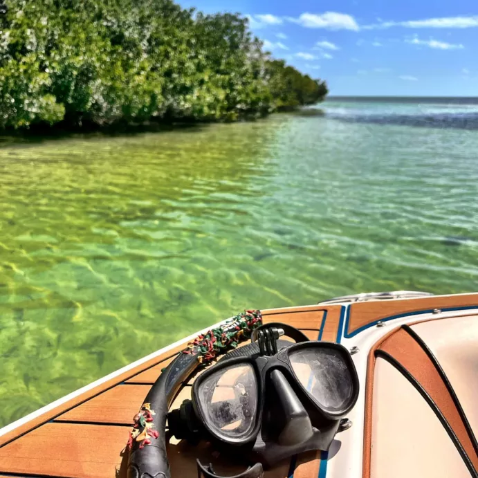 Boat tour and Snorkeling Miami (½ day)