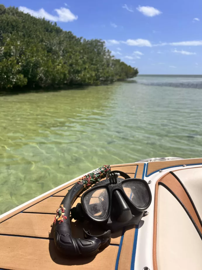 Florida Keys, Boca Chita, Eliott Key Sandbar (full day) - Image 13