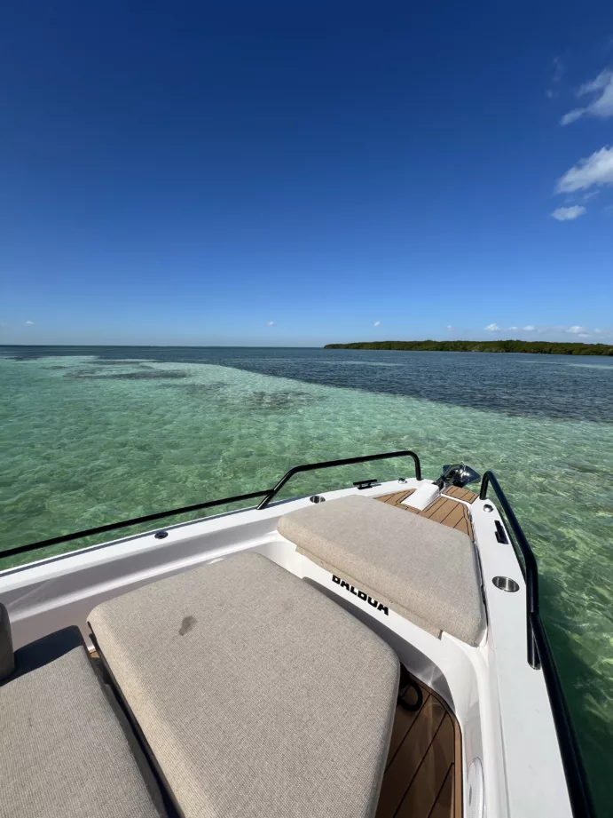 Miami Sandbars by boat (3 hours minimum) - Imagen 8