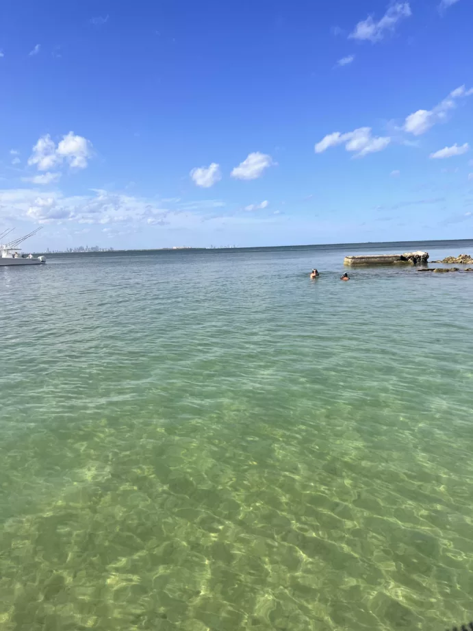 Florida Keys, Boca Chita, Eliott Key Sandbar (full day) - Image 16