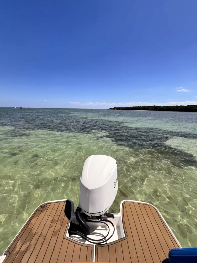 Florida Keys, Boca Chita, Eliott Key Sandbar (full day) - Image 20