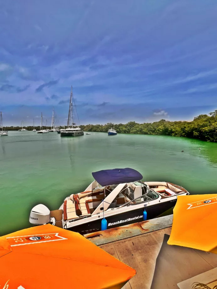 Miami Waterfront Restaurant Dock & Dine - Image 6