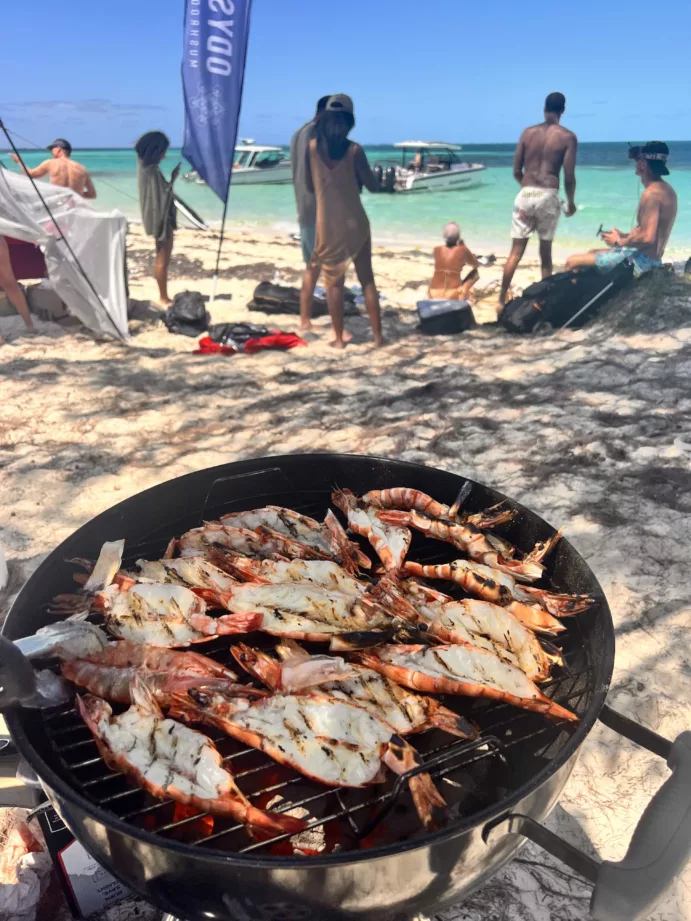 Bimini, Bahamas (Same Day trip – Sunrise to Sunset) - Image 8